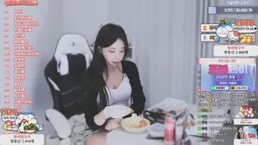 dodam486 live stream