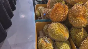 eunz1nara live stream