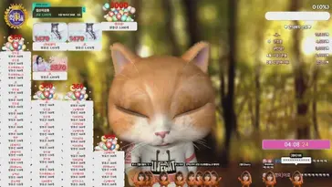 wlsgml222 live stream